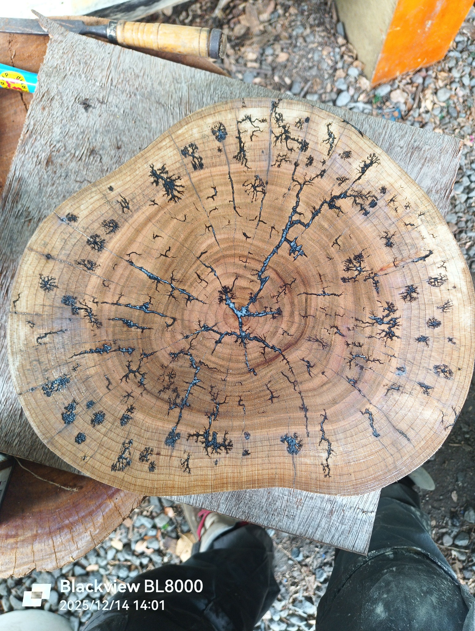 Électrisation du bois